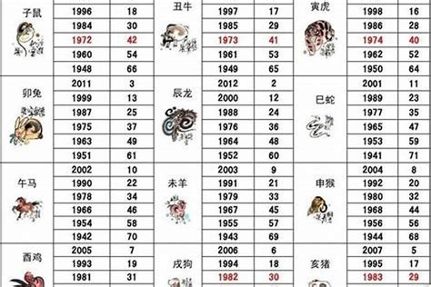 1992年属相|1992年猴五行属什么命，1992属猴人一生命运如何